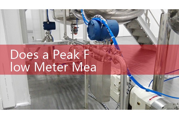 Does a Peak Flow Meter Measure Lung Capacity: Voluntary Lung Function Screening Basics